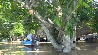 Floods in Myanmar: a FOUR PAWS rapid response mission has started