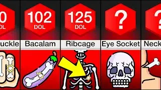 Comparison: Most Painful Bones To Break