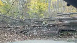 Giles County Virginia. A ride, through the woods, from Big Stony to Clendennin Rd.
