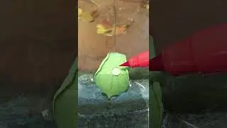 Satisfying water drop coloring on a tiny lotus leaf #shorts #shortsfeed #waterdroplet #art #drawing