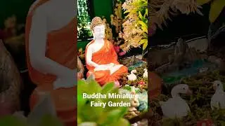 Buddha Garden in a Ceramic pot - Unique gifts for 2022!