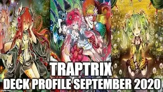 TRAPTRIX DECK PROFILE (SEPTMEBER 2020) YUGIOH!