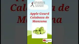 Apple Gourd Vegetable Spanish language Vocabulary
