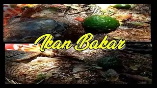 BAKAR IKAN rasanya MAKNYOSS !!! | NGECER PROJECT