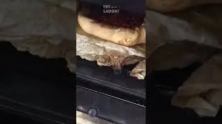 She Tried to Show Off Her Pie Skills&hellip; 🥧😂 #funny #funnyvideos #shorts