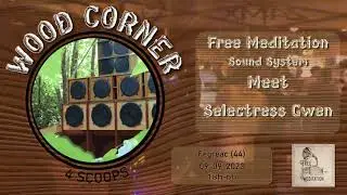 WOOD CORNER #4 | FREE MEDITATION SOUND SYSTEM FT. 🎤 M'FESTA & 🎺 WILL ▶ 