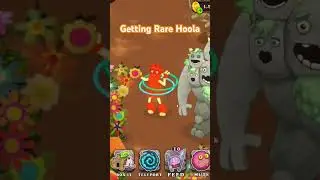 Getting Rare Hoola on Earth Island