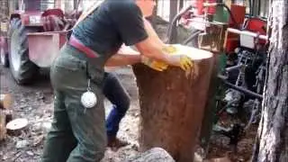 Hauruck Holzspalter Stammheber mit Doppelpumpen-Bluthydraulik