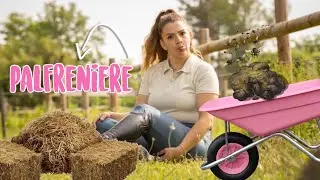 UN PETIT VLOG PALEFRENIÈRE TIME !