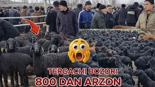 NAMANGANDA TERGACHI QO'Y BOZORI NARXLARI 16.01.2026 