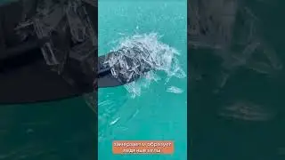 Ледяные иглы, в самом глубоком и чистом месте на планете