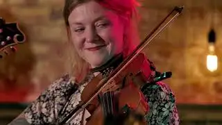 Shackleton Trio  - live concert