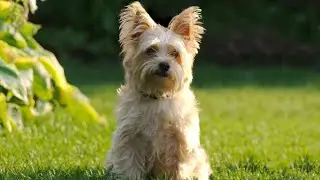 Remembering My Best Friend