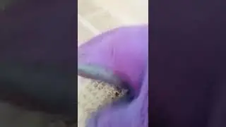 Norwex Dust Mitt Clean AC Filter