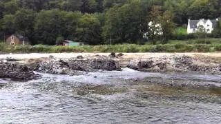 Bridge over the Blavet under the Blavet