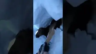 Snow Tunnel Begins to Collapse