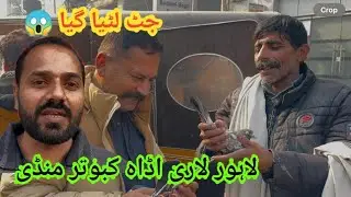 Lahore lari adha kabutar mandi 🕊️🤩|| jatt lutia gy 😱