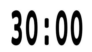 30 minute timer