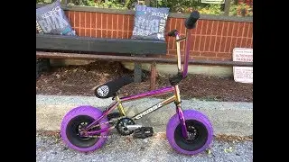 Oil Slick Mini BMX Pro Series Purple Unboxing @ Harvester Bikes