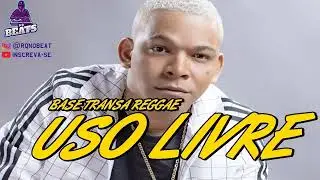 BASE TRANSA REGGAE USO LIVRE 2023 #tiktok #dj #remix #baseusolivre #explore