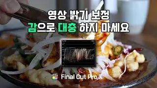 파이널컷 프로 영상 밝기 조절 보정 편집 방법 / 그래프와 수치로 맞추세요