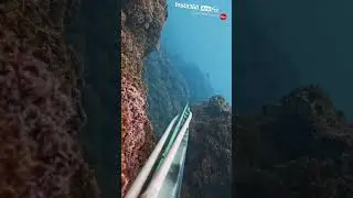SPEARFISHING FAIL sarago sulla distanza