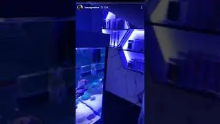 UUUIIIII MEMOOOOO | Inscope