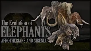 The Evolution of Elephants 🐘