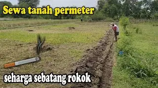 Sewa tanah Rp.1.200- / meter / tahun, seharga 1 batang rokok untuk lahan rumput Gamma Ummami