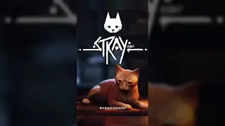 Why STRAY Is The Most INTERESTING Game Coming To PS5...