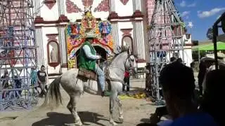 Fiesta tecomatepec 2016