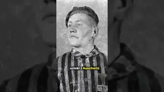 Najbardziej brawurowa ucieczka w historii Auschwitz? Sceny jak z filmu #shorts #polska #wojna