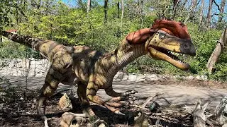 Dinosaurs Exhibit at St. Louis zoo