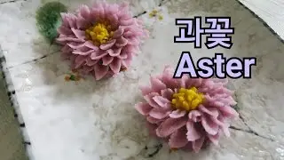 과꽃 앙금플라워 Aster♡kidney  bean paste flower piping techniques