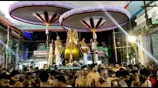 thiruvallikkeni Sri Parthasarathy Swamy   Maasi Brahmothsavam - Day 3 Night - Hamsa Vaahanam