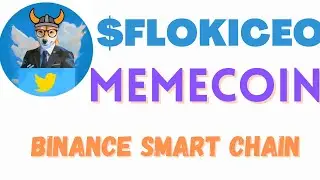 FLOKICEO - FLOKI CEO - $FLOKICEO - CRYPTO - BINANCE SMART CHAIN - MEMECOIN