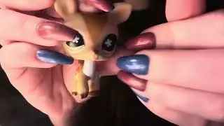ASMR in my dorm 🐈