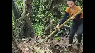 Solo Jungle Survival | Tree House Shelter Built with Bare Hands long video 