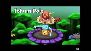&lsquo;Perfect&rsquo; tohum pole loop (rainforest island)