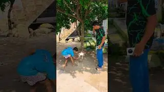Tree craking funny magic loop video | #shorts #shortvideo #youtubeshorts #viral #magic #funny #loop