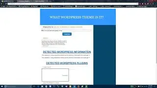 Wordpress theme checker