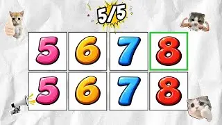 Say The Numbers On Beat 🔊 | Levels 1&ndash;3 (Easy, Medium, Hard)