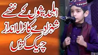Muhammad Ibrahim Madni Sahib AhlyHadison Ka Shehzada Nirala Andaz Very Best Klam #yafsd #2026