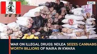 War On Illegal Drugs: NDLEA Seizes Cannabis Worth Billions Of Naira In Kwara