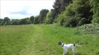 Bethlem Royal Hospital Grounds Walk May 2016