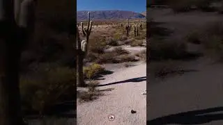 Parque Nacional Los Cardones, Recta del Tin Tin #salta #drone #vistashermosas #rutasypaisajes #short