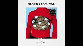 The Wombats - Black Flamingo (Official Audio)