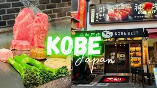 Kobe Beef in Kobe Japan $430 Lunch 🇯🇵 FULL Teppanyaki Experience | Daichi Authentic Kobe | Steak