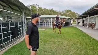 Doubtland-Divine Messenger Filly update2.5% & 5% Shares available Contact: gary.apr@gmail.com 