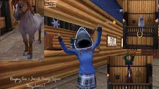 Buying 3 JORVIK PONYS! (Buying more soon!)